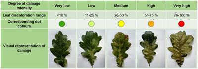 Invasive behaviour of oak lace bug in forest ecosystems: a comparative analysis between thermophilous and mesophilous oak forests